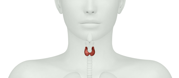 Diagnosis and treatment of thyroid cancer